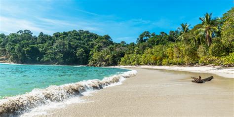 flüge costa rica|Flüge Costa Rica buchen ️ Top Flugvergleich